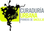 Logo curaduria