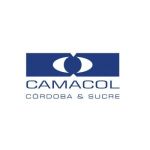 Logo camacol